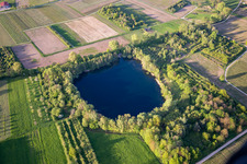 Biotope pond old clay pit in Göcklingen in the state Rhineland-Palatinate, Germany