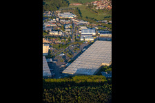 Aerial view of Horst industrial estate from the west in the district Minderslachen in Kandel in the state Rhineland-Palatinate, Germany