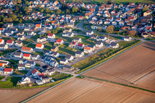 Sunflower Path in Kandel in the state Rhineland-Palatinate, Germany