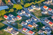 Aerial view of Daffodil and Violet Path in Kandel in the state Rhineland-Palatinate, Germany