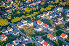Rose and Violet Path in Kandel in the state Rhineland-Palatinate, Germany