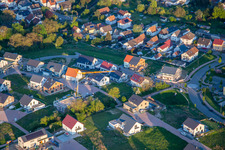 Lilac and Rose Path in Kandel in the state Rhineland-Palatinate, Germany