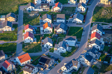 Aerial photograpy of Daffodil and Violet Path in Kandel in the state Rhineland-Palatinate, Germany