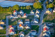 Oblique view of Daffodil and Violet Path in Kandel in the state Rhineland-Palatinate, Germany