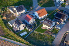 Aerial view of Daffodil Path in Kandel in the state Rhineland-Palatinate, Germany