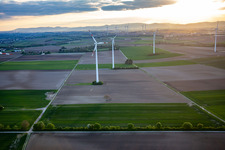 Aerial photograpy of Wind farm Minfeld in Minfeld in the state Rhineland-Palatinate, Germany