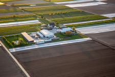 Farmer's Garden in Winden in the state Rhineland-Palatinate, Germany from the plane