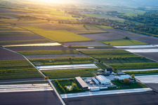 Bird's eye view of Farmer's Garden in Winden in the state Rhineland-Palatinate, Germany