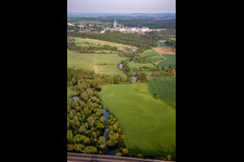 Flood meadows of the Saar are the feeding ground for the storks in Willerwald in the state Moselle, France