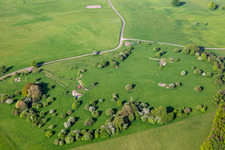 Sheep graze between old bunker ruins in Achen in the state Moselle, France