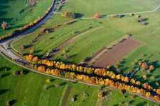 Aerial view of Autumn-colored avenue trees on Schluttenbacher Straße in the district Schöllbronn in Ettlingen in the state Baden-Wuerttemberg, Germany