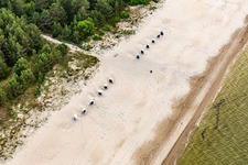 Dog beach Trassenheide in Trassenheide in the state Mecklenburg-Western Pomerania, Germany