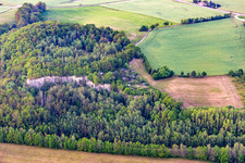 Student bush over the Mandau in the district Pethau in Zittau in the state Saxony, Germany