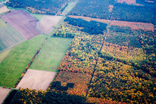Lochwassergraben in the district Weiher in Ubstadt-Weiher in the state Baden-Wuerttemberg, Germany