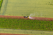 Tractor sprays grapevines with pesticide in the district Ingenheim in Billigheim-Ingenheim in the state Rhineland-Palatinate, Germany