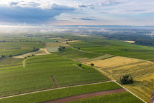 Low clouds over the fields from winds in the district Ingenheim in Billigheim-Ingenheim in the state Rhineland-Palatinate, Germany