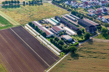 Markus Fischer Holiday Apartment in Hördt in the state Rhineland-Palatinate, Germany