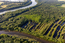 Flooding of the Rhine meadows on the Old Rhine (Michelsbach) in Hördt in the state Rhineland-Palatinate, Germany
