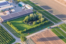 Farmer's garden with natural pond in Winden in the state Rhineland-Palatinate, Germany