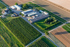 Aerial view of Farmer's garden with natural pond in Winden in the state Rhineland-Palatinate, Germany