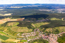 Vineyards in Ramsthal in the state Bavaria, Germany