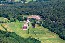 Munditias in the district Römershag in Bad Brückenau in the state Bavaria, Germany