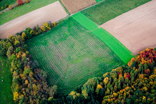 Horrenberg in Zuzenhausen in the state Baden-Wuerttemberg, Germany