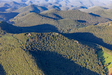 Aerial view of Wegelnburg in Schönau in the state Rhineland-Palatinate, Germany