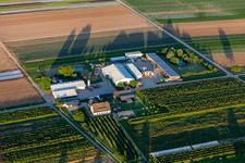 Drone image of Farmer's Garden in Winden in the state Rhineland-Palatinate, Germany
