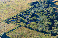Aerial photograpy of Biotope on the Queich in the district Niederhochstadt in Hochstadt in the state Rhineland-Palatinate, Germany