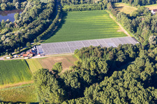 Blumen-Xpert GbR nursery with greenhouses on Hördter Straße in the district Sondernheim in Germersheim in the state Rhineland-Palatinate, Germany
