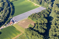Aerial view of Blumen-Xpert GbR nursery with greenhouses on Hördter Straße in the district Sondernheim in Germersheim in the state Rhineland-Palatinate, Germany