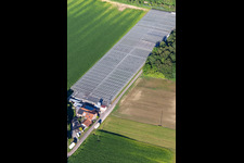 Aerial photograpy of Blumen-Xpert GbR nursery with greenhouses on Hördter Straße in the district Sondernheim in Germersheim in the state Rhineland-Palatinate, Germany