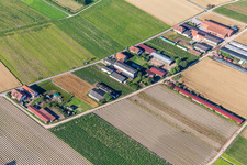 Aussiedlerhöfe Am Bildstöckel in Hatzenbühl in the state Rhineland-Palatinate, Germany