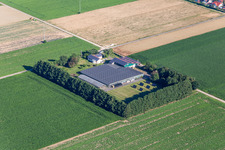 Resettler farm in Steinweiler in the state Rhineland-Palatinate, Germany