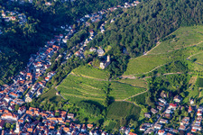 Aerial view of Schauenburg Castle Ruins in Schriesheim in the state Baden-Wuerttemberg, Germany