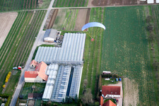 Aerial photograpy of Nursery on Grasweg in Winden in the state Rhineland-Palatinate, Germany