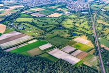 Kurpfalz Golf Park in Schifferstadt in the state Rhineland-Palatinate, Germany