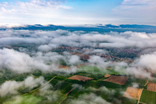 Under low clouds in the district Ingenheim in Billigheim-Ingenheim in the state Rhineland-Palatinate, Germany