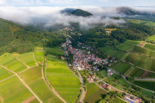 Birnbachtal in the morning from the southeast in Leinsweiler in the state Rhineland-Palatinate, Germany
