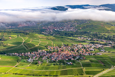 Wine town from the south in Birkweiler in the state Rhineland-Palatinate, Germany