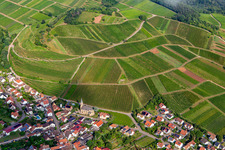 Kastanienbusch vineyard behind the wine village from the southeast in Birkweiler in the state Rhineland-Palatinate, Germany