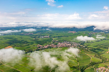 Vineyards of the small Kalmit on the edge of the cloud-covered Palatinate Forest between Arzheim, Ilbeshheim and Eschbach in Ilbesheim bei Landau in the state Rhineland-Palatinate, Germany