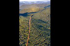 Route for the new construction of the 51 km section of the Trans-Europe Natural Gas Pipeline (TENP-I between the Netherlands and Switzerland) between Mittelbrunn and Klingenmünster in Klingenmünster in the state Rhineland-Palatinate, Germany