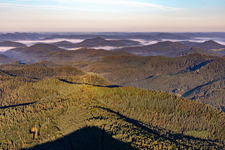 Mountains of the southern Palatinate Forest in Darstein in the state Rhineland-Palatinate, Germany