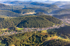 In the birches in Hinterweidenthal in the state Rhineland-Palatinate, Germany