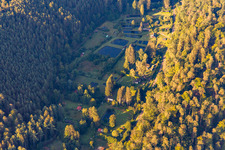 Ponds for fish farming in the Storrbach in the district Langmühle in Lemberg in the state Rhineland-Palatinate, Germany