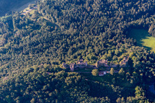 Altdahn castle massif with Granfendahn and Tanstein castle ruins in Dahn in the state Rhineland-Palatinate, Germany out of the air