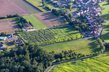Aerial view of Corn maze, wedding location and beach lounge Seehof in Steinweiler in the state Rhineland-Palatinate, Germany