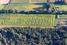 Aerial photograpy of Corn maze, wedding location and beach lounge Seehof in Steinweiler in the state Rhineland-Palatinate, Germany
